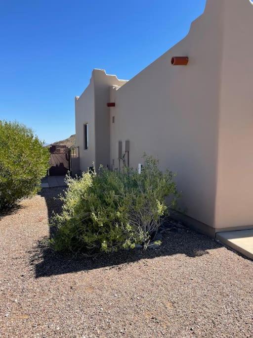 Villa Tucson Mnt Foothills Saguaro Bliss Extérieur photo