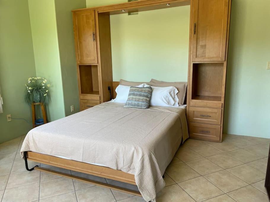 Villa Tucson Mnt Foothills Saguaro Bliss Extérieur photo