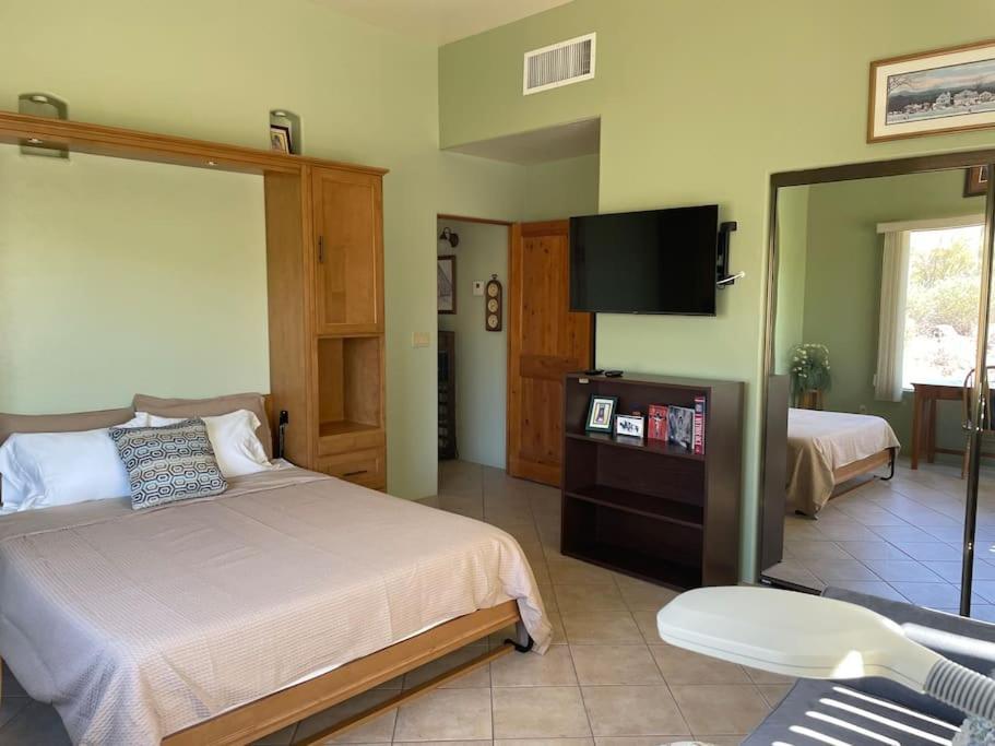 Villa Tucson Mnt Foothills Saguaro Bliss Extérieur photo