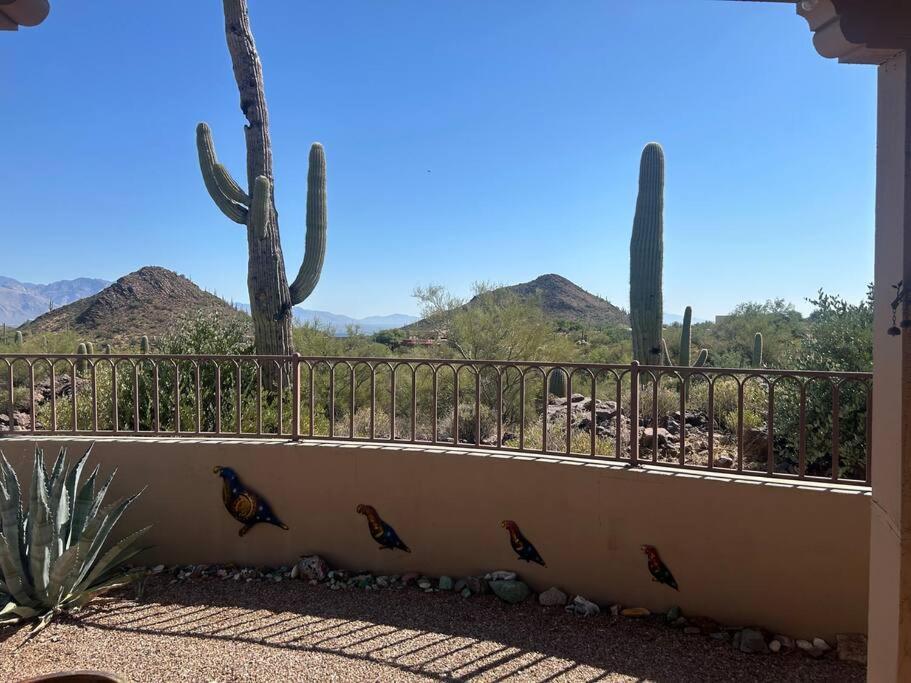 Villa Tucson Mnt Foothills Saguaro Bliss Extérieur photo
