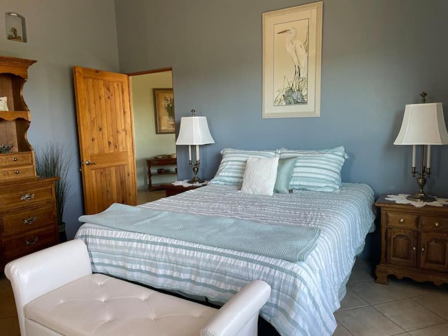 Villa Tucson Mnt Foothills Saguaro Bliss Extérieur photo