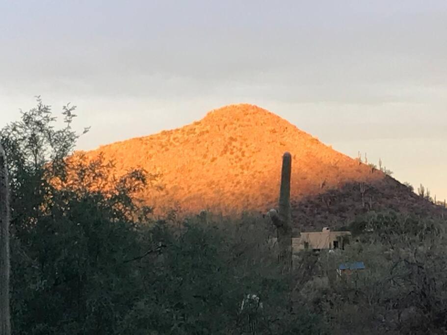 Villa Tucson Mnt Foothills Saguaro Bliss Extérieur photo