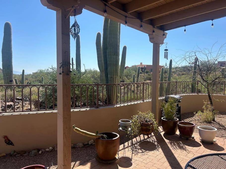 Villa Tucson Mnt Foothills Saguaro Bliss Extérieur photo